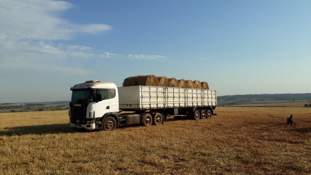 F.E TRANSPORTES